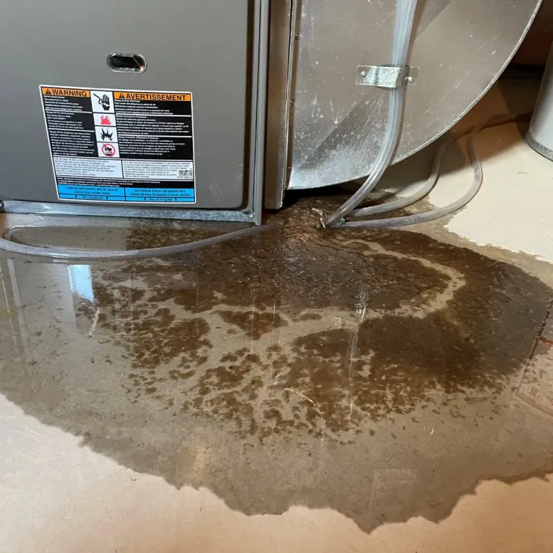 Appliance Leak Cleanup in Cherokee, NC